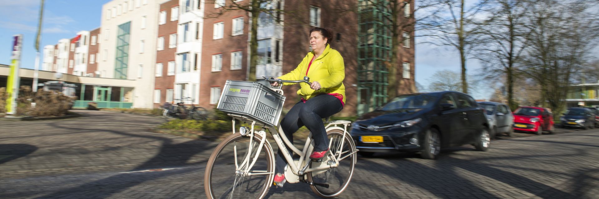 Thuiszorg bij geheugen-problematiek en dementie 